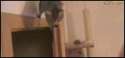 1453007328049.gif