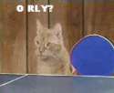 (86).gif