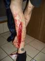 cut for bieber 2.jpg