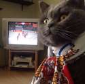 hockey.jpg