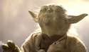 yoda.jpg