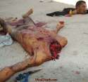 viraldeath_com_prison_retribution2.jpg
