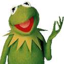 As a matter of fact kermit.jpg
