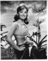 dawn-wells.jpg