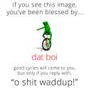 image.gif