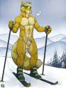 1440176756.tsaiwolf__alflorskiing.jpg