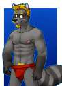 1367707501.vasuki_carperjock_bluecropped.png