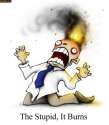the stupid it burns.jpg