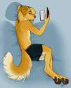 1352945283219_clean_solo_underwear.png