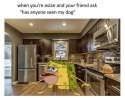 spongebob 8.jpg