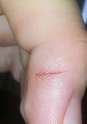 tinycut.jpg