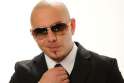 pitbull.png