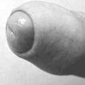 101928301.gif