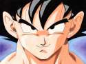 goku_in_dragon_ball_z_by_celeste1987-d11huaq.jpg