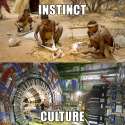 Compare.jpg