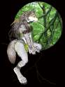 1262718223.luthiennightwolf_homepageartluthienbackground.jpg