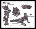 1344003977.luthiennightwolf_morgan.jpg