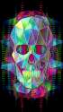 ju-geoskull.ans_.png