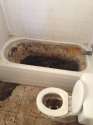 septic-backup.jpg