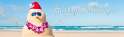 holiday_banner-892x267.jpg