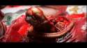 2154563-chestburster.jpg