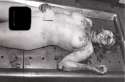 2016-06-11_autopsy_grimme.jpg