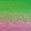 yoglitch.gif