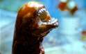 Alien_2236578b[1].jpg