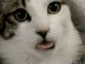 image.gif