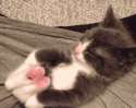1465666251704.gif
