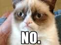 grumpy-cat-no-4.jpg