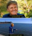 qDeFMIE.jpg
