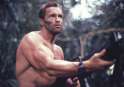 predator_film_frame_arnold_schwarzenegger_hd-wallpaper-378956.jpg