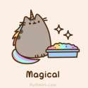 IMG_0949.gif