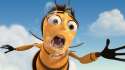 bee-movie.jpg