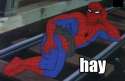 hay.jpg