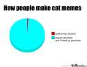 catbroplease.jpg