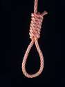 NOOSE.jpg