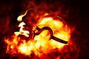 the_pokeball_of_fire_type_arceus_by_wazzy88-d54j7jw.jpg