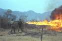 flamethrower.jpg