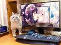 Ylb5yAx.jpg