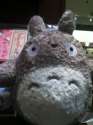 Totoro (Demos 4).jpg