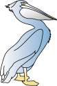 New-Pelican-Bird-Logo-Final-from-racheal-august-20151.jpg