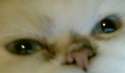 received_1206829262683209.jpg