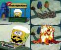 spongeknob.png