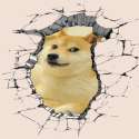 52473206a836d.png