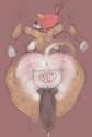 1462402736.kinky-kitty_brandedkitty.png.jpg