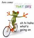 image.jpg