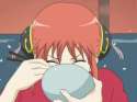Kagu_eat1.gif