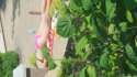 20160614_153828.jpg
